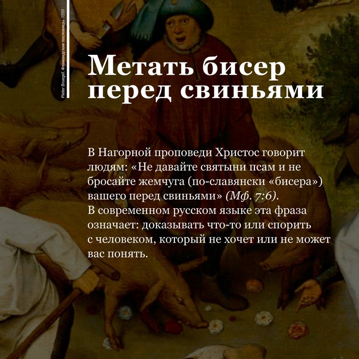 Пословица перед бисер не мечут перед свиньями Пословица перед бисер не мечут перед свиньями