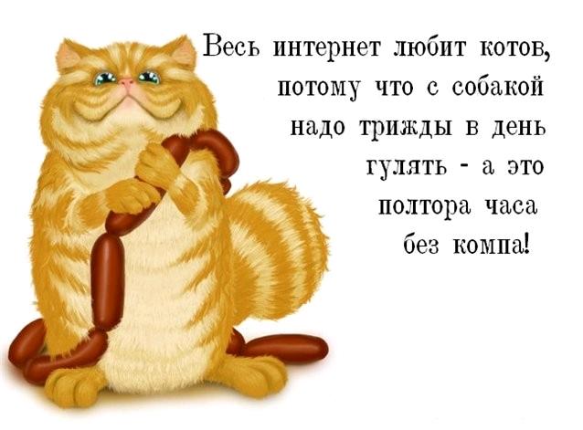 Статус в картинках с кошкой Статус в картинках с кошкой