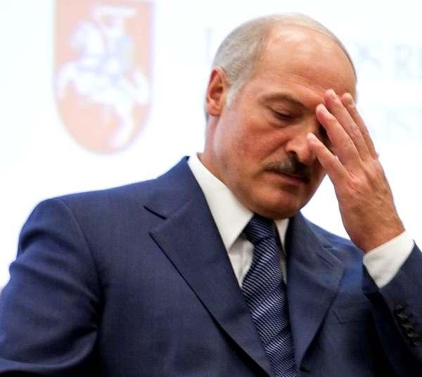 Наряжаем елку. Мастер-класс по плетению снежинок из бисера Морская свинка скрежет зубами