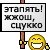 no avatar