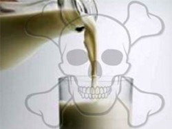 В белорусском молоке обнаружен стронций-90