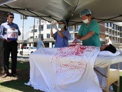 По всему миру собирают подписи под петицией в Белый дом против принудительного изъятия органов у узников совести в Китае