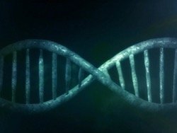 Ученые нашли гены, связанные с интеллектом
