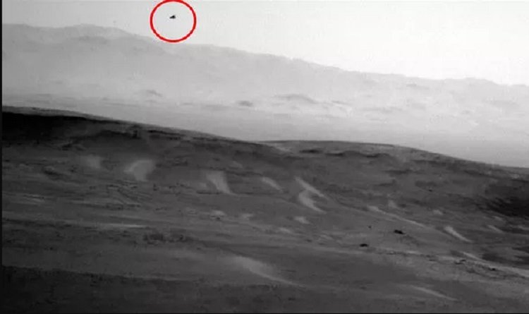 Марсоход NASA снял парящую птицу на Марсе, заявил эксперт