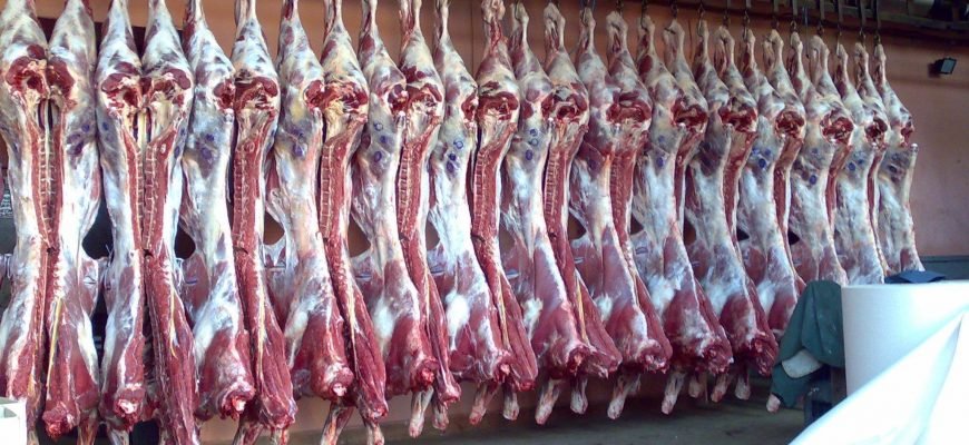 В Лондоне активисты требуют запретить производство мяса и молока