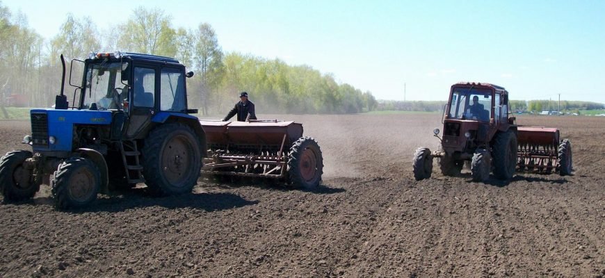 В российских регионах приступают к севу озимых