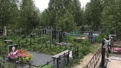 В Санкт-Петербурге зафиксирована рекордная смертность за 10 лет