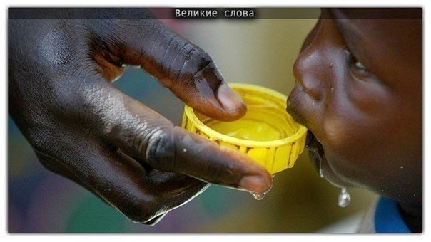 есть ли разум на земле. Смотреть фото есть ли разум на земле. Смотреть картинку есть ли разум на земле. Картинка про есть ли разум на земле. Фото есть ли разум на земле