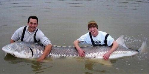 рыба тукунаре фото амазонки. Смотреть фото рыба тукунаре фото амазонки. Смотреть картинку рыба тукунаре фото амазонки. Картинка про рыба тукунаре фото амазонки. Фото рыба тукунаре фото амазонки рыба тукунаре фото амазонки. Смотреть фото рыба тукунаре фото амазонки. Смотреть картинку рыба тукунаре фото амазонки. Картинка про рыба тукунаре фото амазонки. Фото рыба тукунаре фото амазонки