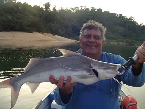 рыба тукунаре фото амазонки. Смотреть фото рыба тукунаре фото амазонки. Смотреть картинку рыба тукунаре фото амазонки. Картинка про рыба тукунаре фото амазонки. Фото рыба тукунаре фото амазонки рыба тукунаре фото амазонки. Смотреть фото рыба тукунаре фото амазонки. Смотреть картинку рыба тукунаре фото амазонки. Картинка про рыба тукунаре фото амазонки. Фото рыба тукунаре фото амазонки