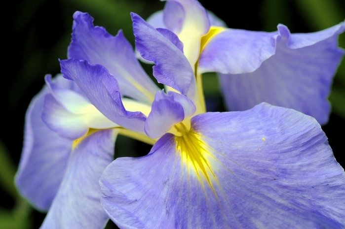 весь остров как узор живого храма. Смотреть фото весь остров как узор живого храма. Смотреть картинку весь остров как узор живого храма. Картинка про весь остров как узор живого храма. Фото весь остров как узор живого храма весь остров как узор живого храма. Смотреть фото весь остров как узор живого храма. Смотреть картинку весь остров как узор живого храма. Картинка про весь остров как узор живого храма. Фото весь остров как узор живого храма