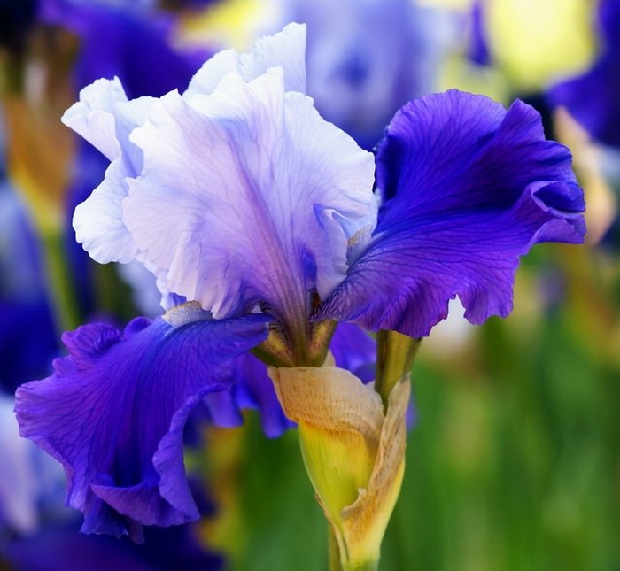 весь остров как узор живого храма. Смотреть фото весь остров как узор живого храма. Смотреть картинку весь остров как узор живого храма. Картинка про весь остров как узор живого храма. Фото весь остров как узор живого храма весь остров как узор живого храма. Смотреть фото весь остров как узор живого храма. Смотреть картинку весь остров как узор живого храма. Картинка про весь остров как узор живого храма. Фото весь остров как узор живого храма