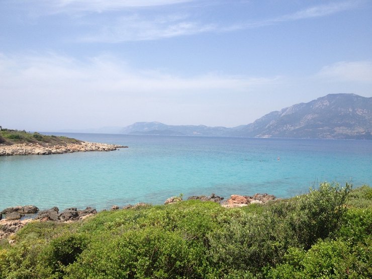 в каком районе турции сосны. Смотреть фото в каком районе турции сосны. Смотреть картинку в каком районе турции сосны. Картинка про в каком районе турции сосны. Фото в каком районе турции сосны в каком районе турции сосны. Смотреть фото в каком районе турции сосны. Смотреть картинку в каком районе турции сосны. Картинка про в каком районе турции сосны. Фото в каком районе турции сосны