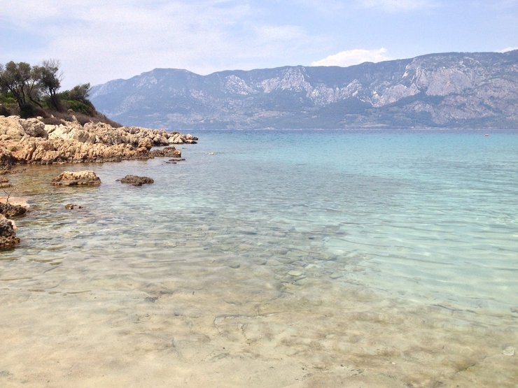 в каком районе турции сосны. Смотреть фото в каком районе турции сосны. Смотреть картинку в каком районе турции сосны. Картинка про в каком районе турции сосны. Фото в каком районе турции сосны в каком районе турции сосны. Смотреть фото в каком районе турции сосны. Смотреть картинку в каком районе турции сосны. Картинка про в каком районе турции сосны. Фото в каком районе турции сосны