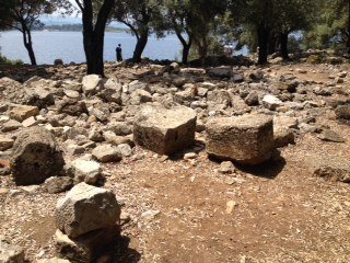 в каком районе турции сосны. Смотреть фото в каком районе турции сосны. Смотреть картинку в каком районе турции сосны. Картинка про в каком районе турции сосны. Фото в каком районе турции сосны в каком районе турции сосны. Смотреть фото в каком районе турции сосны. Смотреть картинку в каком районе турции сосны. Картинка про в каком районе турции сосны. Фото в каком районе турции сосны