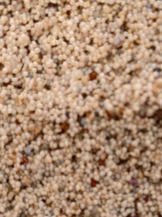 в каком районе турции сосны. Смотреть фото в каком районе турции сосны. Смотреть картинку в каком районе турции сосны. Картинка про в каком районе турции сосны. Фото в каком районе турции сосны в каком районе турции сосны. Смотреть фото в каком районе турции сосны. Смотреть картинку в каком районе турции сосны. Картинка про в каком районе турции сосны. Фото в каком районе турции сосны