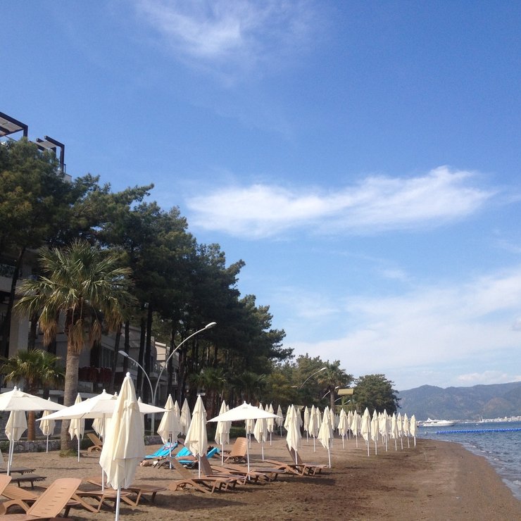 в каком районе турции сосны. Смотреть фото в каком районе турции сосны. Смотреть картинку в каком районе турции сосны. Картинка про в каком районе турции сосны. Фото в каком районе турции сосны в каком районе турции сосны. Смотреть фото в каком районе турции сосны. Смотреть картинку в каком районе турции сосны. Картинка про в каком районе турции сосны. Фото в каком районе турции сосны