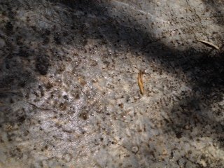 в каком районе турции сосны. Смотреть фото в каком районе турции сосны. Смотреть картинку в каком районе турции сосны. Картинка про в каком районе турции сосны. Фото в каком районе турции сосны в каком районе турции сосны. Смотреть фото в каком районе турции сосны. Смотреть картинку в каком районе турции сосны. Картинка про в каком районе турции сосны. Фото в каком районе турции сосны