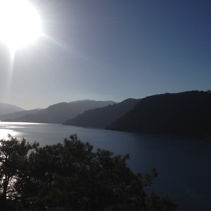 в каком районе турции сосны. Смотреть фото в каком районе турции сосны. Смотреть картинку в каком районе турции сосны. Картинка про в каком районе турции сосны. Фото в каком районе турции сосны в каком районе турции сосны. Смотреть фото в каком районе турции сосны. Смотреть картинку в каком районе турции сосны. Картинка про в каком районе турции сосны. Фото в каком районе турции сосны