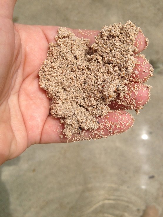 в каком районе турции сосны. Смотреть фото в каком районе турции сосны. Смотреть картинку в каком районе турции сосны. Картинка про в каком районе турции сосны. Фото в каком районе турции сосны в каком районе турции сосны. Смотреть фото в каком районе турции сосны. Смотреть картинку в каком районе турции сосны. Картинка про в каком районе турции сосны. Фото в каком районе турции сосны