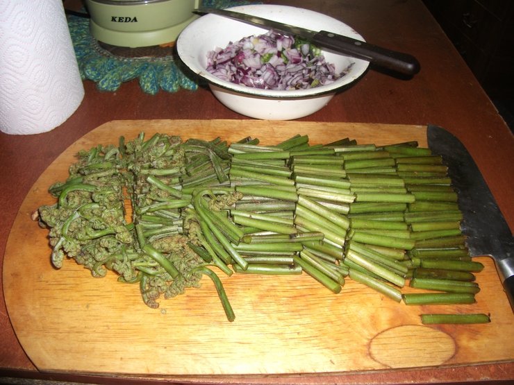 Жареный папоротник рецепт с мясом. Папоротник орляк с мясом. Папоротник жареный с мясом. Жареный папоротник. Мясо с папоротником соленым.