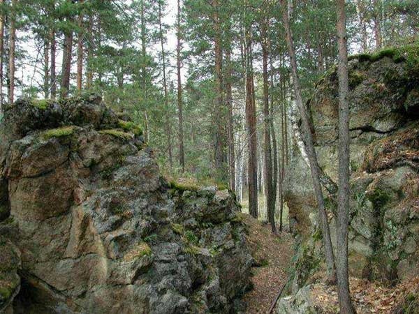 для охраны чего был создан ильменский заповедник. Смотреть фото для охраны чего был создан ильменский заповедник. Смотреть картинку для охраны чего был создан ильменский заповедник. Картинка про для охраны чего был создан ильменский заповедник. Фото для охраны чего был создан ильменский заповедник