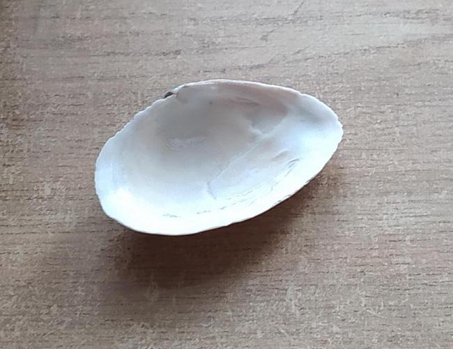 Моя самая большая девальвация ценностей Newsland