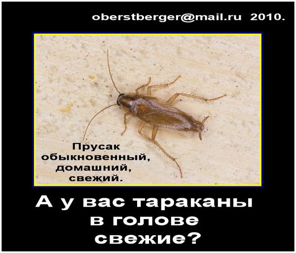 Image Hosted by PiXS.ru