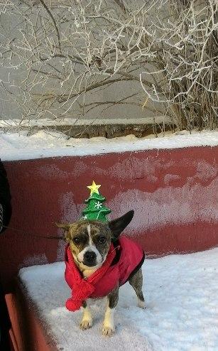 Image Hosted by PiXS.ru