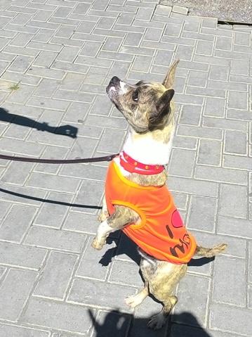 Image Hosted by PiXS.ru