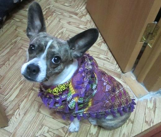 Image Hosted by PiXS.ru