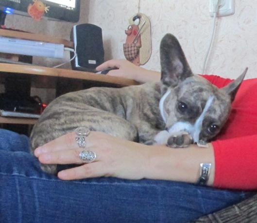 Image Hosted by PiXS.ru