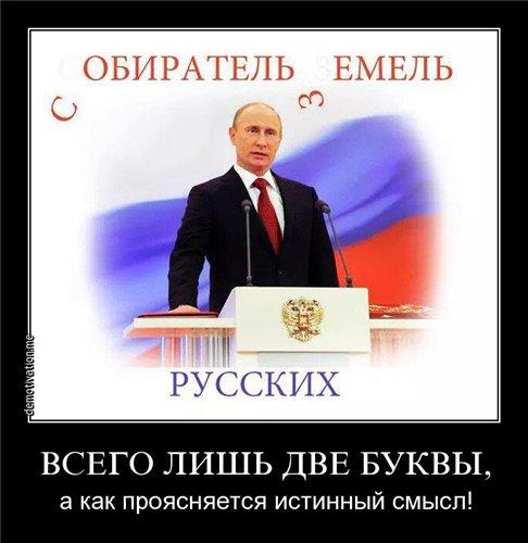 Изображение - savepic.net — сервис хранения изображений