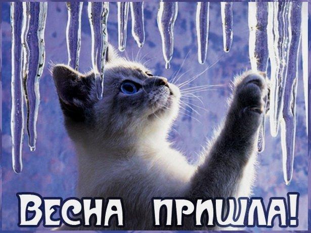 Image Hosted by PiXS.ru