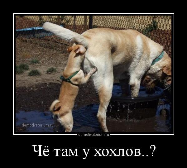 Сервис хранения изображений