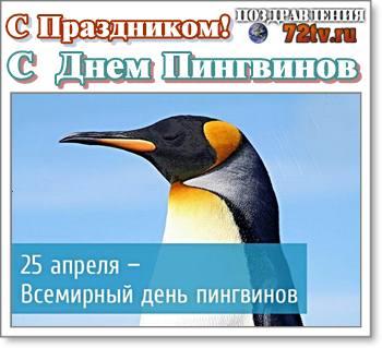 Сегодня праздник 25 Апреля - "С Всемирным днем пингвинов ...