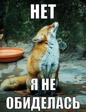 Image Hosted by PiXS.ru