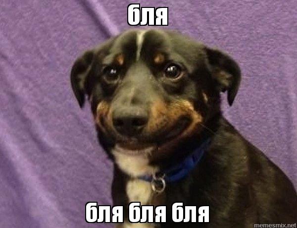 Картинки по запросу бля