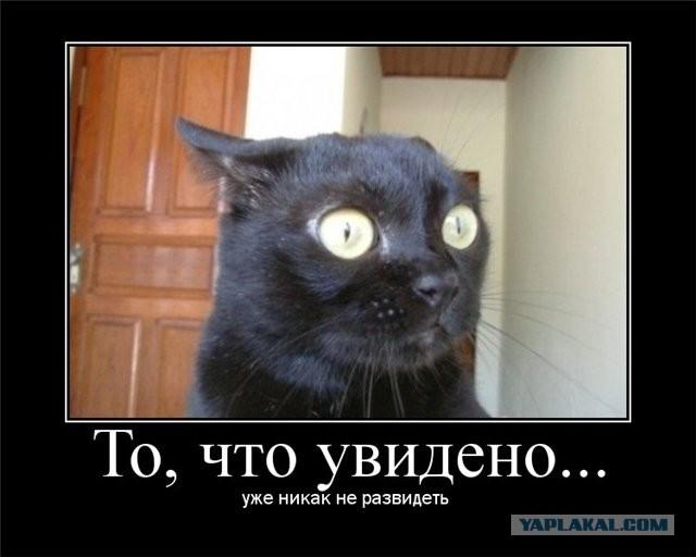 Похожее изображение