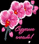 Огромное спасибо! Орхидеи смайлики картинки