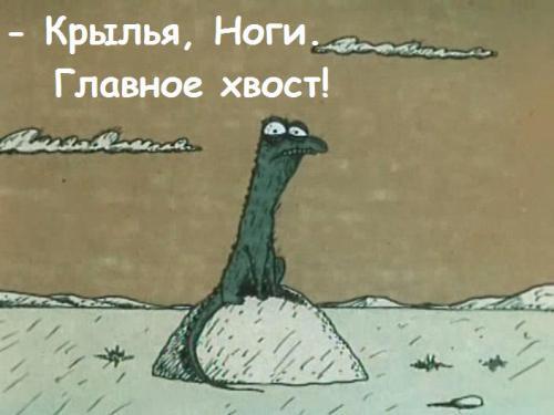 Картинки по запросу ноги ноги главное хвост