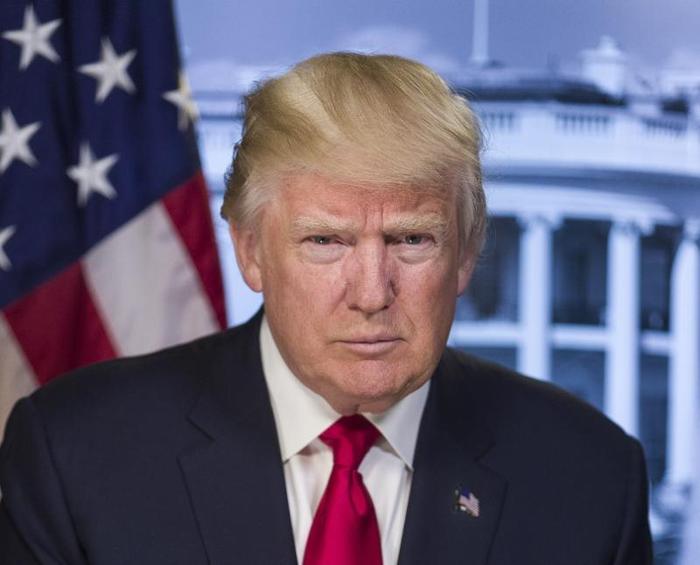 Картинки по запросу флинн трамп