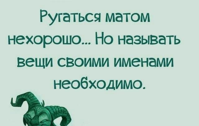 Картинки по запросу решил не материться с нг