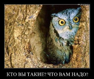 Image Hosted by PiXS.ru