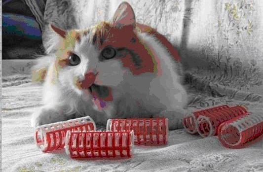 Image Hosted by PiXS.ru