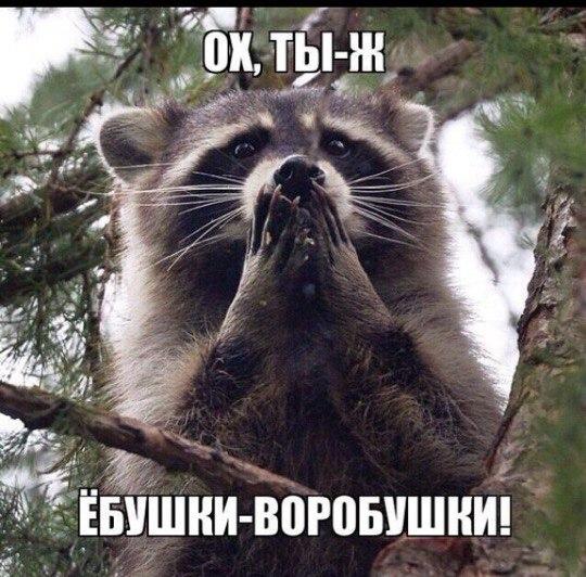 Image Hosted by PiXS.ru