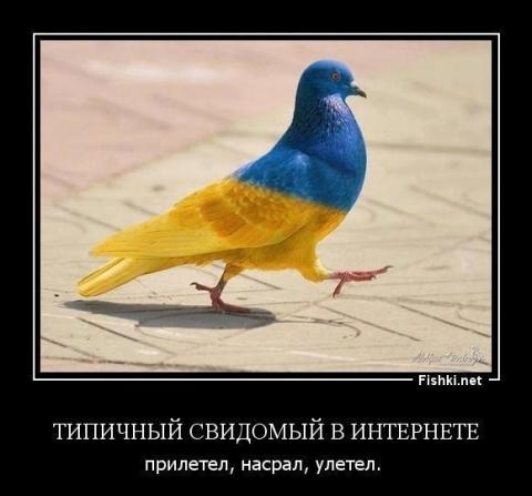 хостинг для хранения изображений