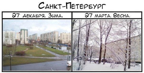 Картинки по запросу питер  прикол