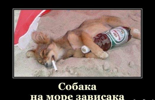 Image Hosted by PiXS.ru