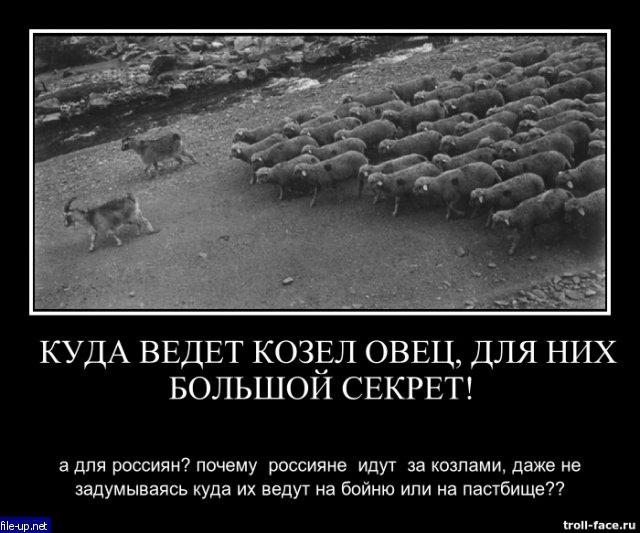 Загрузить фото бесплатно